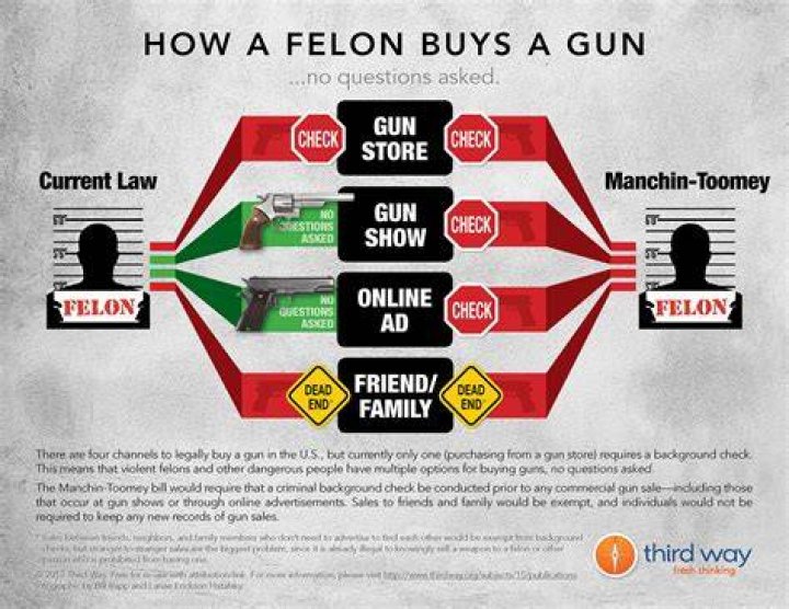 can a felon own black powdergun