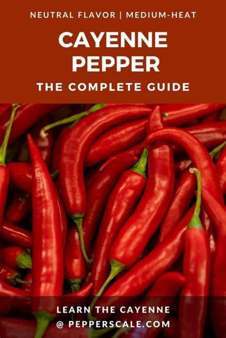 Cayenne Pepper Guide Heat, Flavor, Uses