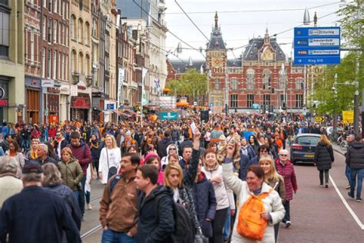 Dutch Dutch