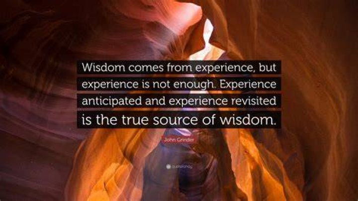 Experience And Wisdom, Net-worth