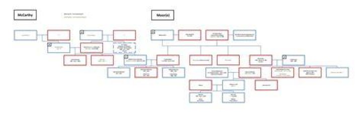 Family Tree Is JJ Mccarthy Related To Mike Mccarthy?
