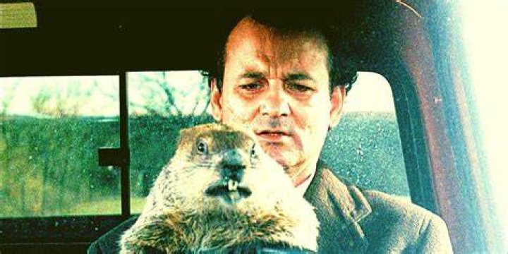 How Long Was Bill Murray Trapped in 'Groundhog Day'? It's Longer Than You Think