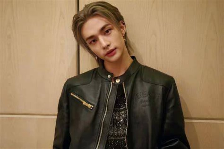 Hyunjin Biography, Age, Career, Net Worth, Family & More ·