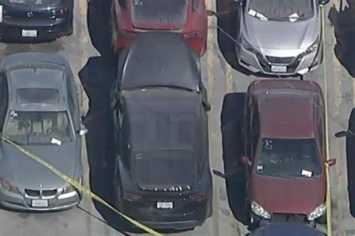 Matthew Lange Murder Case Update Who Killed Him? Details To Know ·