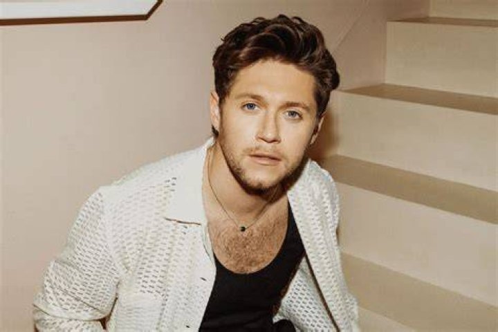 Niall Horan's Biography And Facts' ·