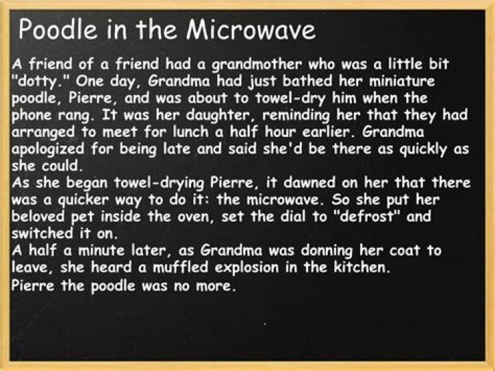 she put her poodle one time in a microwave oven🕷️ YouTube