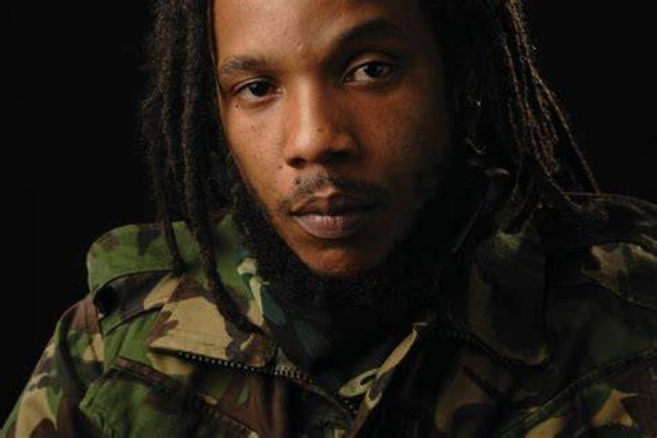 Stephen Marley Net Worth, Income, Salary, Earnings, Biography ·