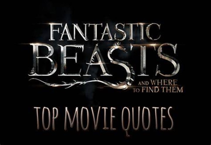 The 13 Best Quotes From 'Fantastic Beasts And Where To Find Them' Are Pretty Magical