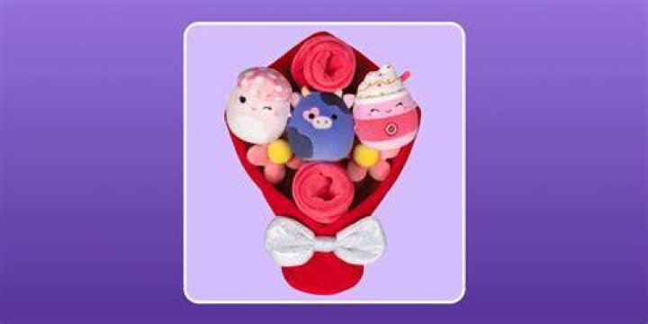 Uncover The Sweetest Delight: Squishmallows Cookie Bouquets