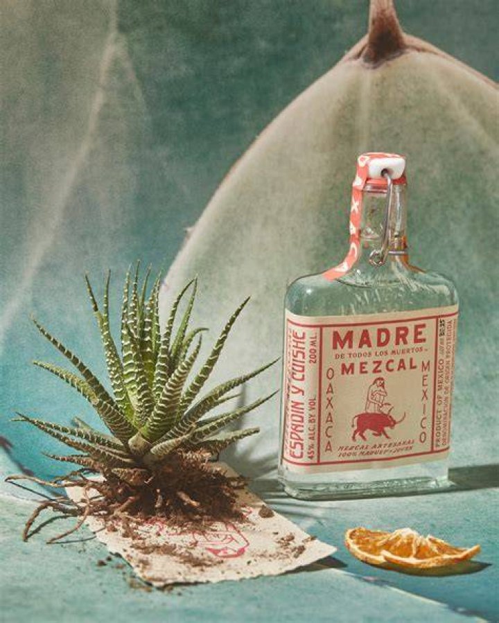 Unveiling The Enchanting World Of Madre Mezcal