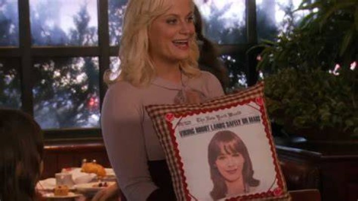 What Is Galentine's Day? We Have Leslie Knope to Thank for the Fake Holiday